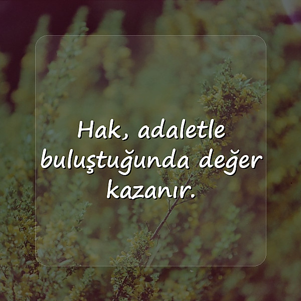adalet ile ilgili sözler - 7