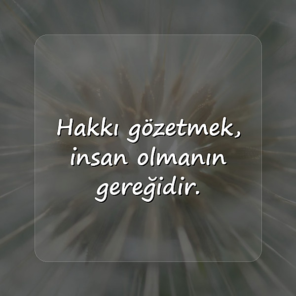 adalet ile ilgili sözler - 3