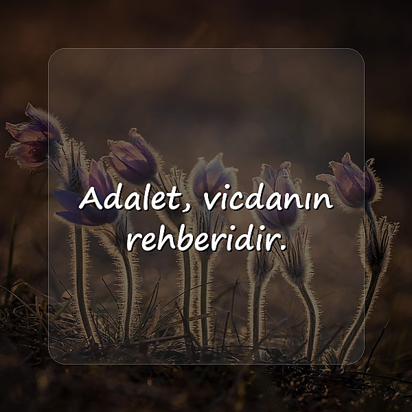 adalet ile ilgili sözler - 8