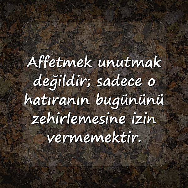 affetmek ile ilgili sözler - 4
