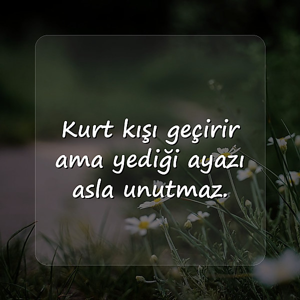 ağır abi sözleri - 5