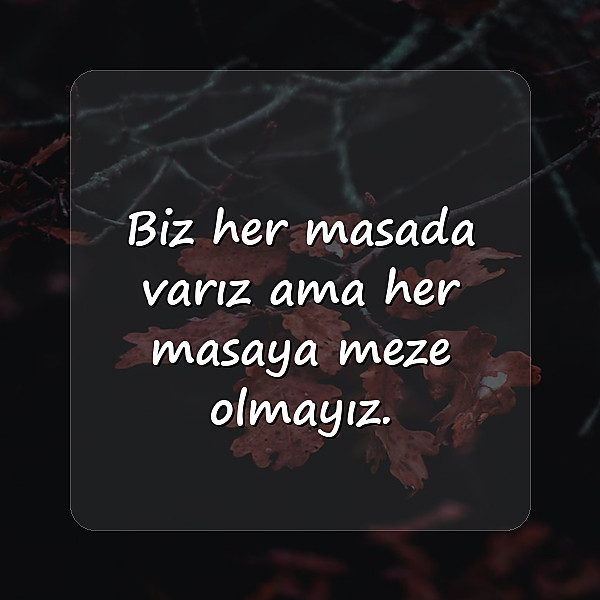 ağır abi sözleri - 22