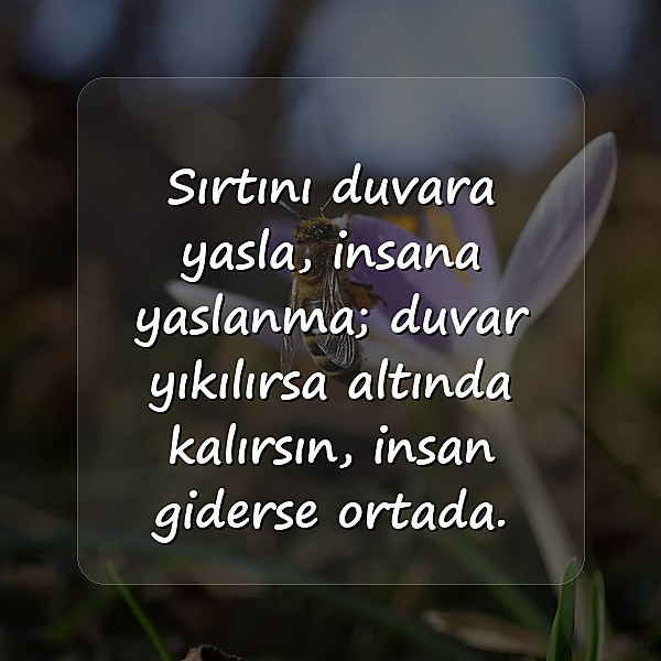 ağır sözler - 1