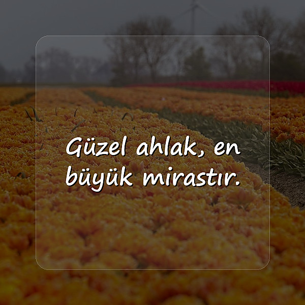 ahlak ile ilgili sözler - 25