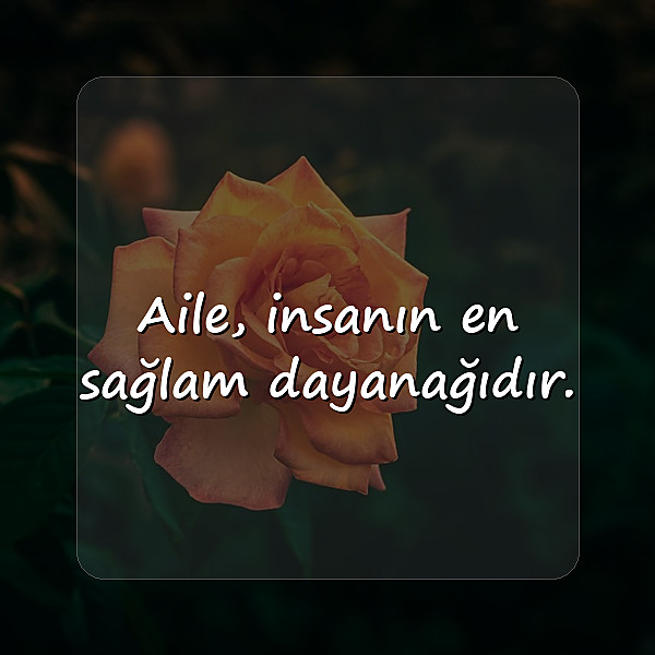 aile ile ilgili sözler - 6