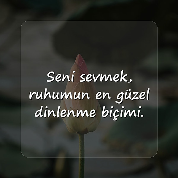 anlamlı aşk sözleri - 22