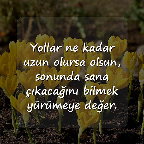 anlamlı aşk sözleri - 19