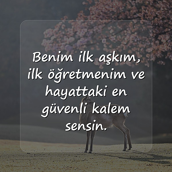 anne ile ilgili sözler - 22