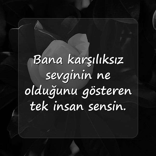 anne ile ilgili sözler - 2