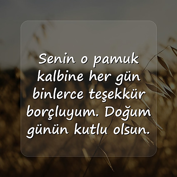Anneanneye Doğum Günü Sözleri - 11