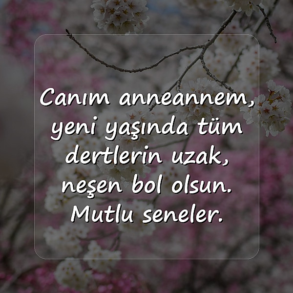 Anneanneye Doğum Günü Sözleri - 7