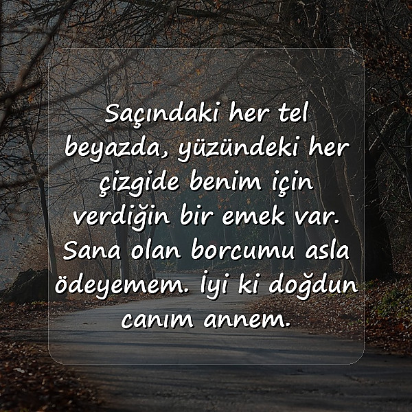 anneye doğum günü mesajı - 2