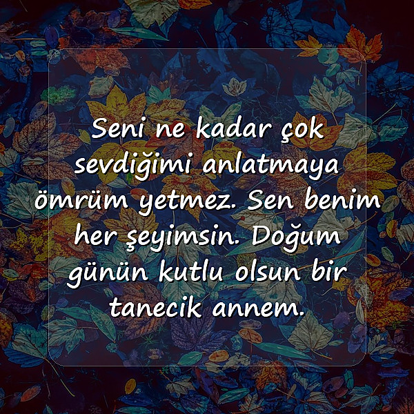 anneye doğum günü mesajı - 1