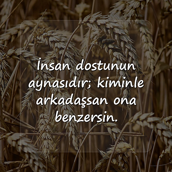 Arkadaş ve Dostluk Sözleri - 1