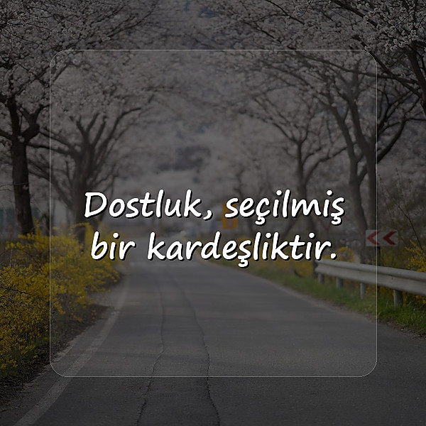 arkadaşlık sözleri - 10