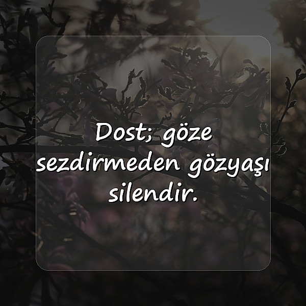 arkadaşlık sözleri - 6