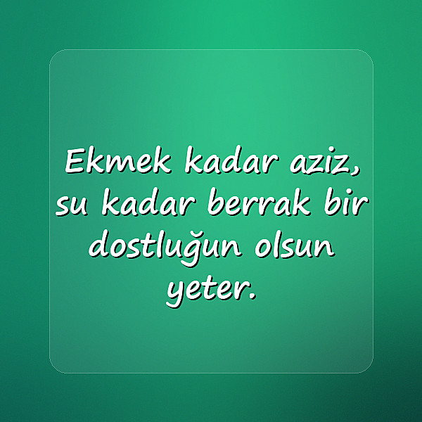 arkadaşlık sözleri - 23