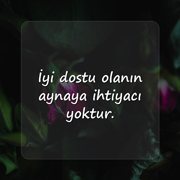 arkadaşlık sözleri - 11