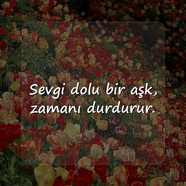 aşk ile ilgili sözler - 3