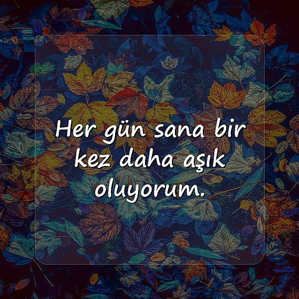 aşk mesajı seviliye - 14