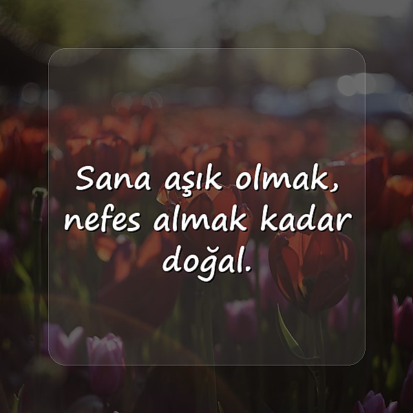 aşk mesajı seviliye - 19