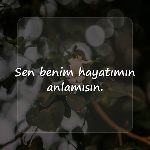 aşk mesajı seviliye - 15