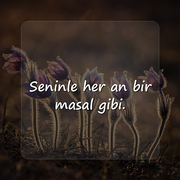 aşk sözleri romantik - 12