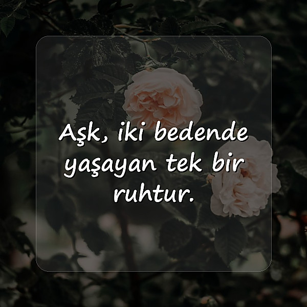 aşkla ilgili sözler - 15