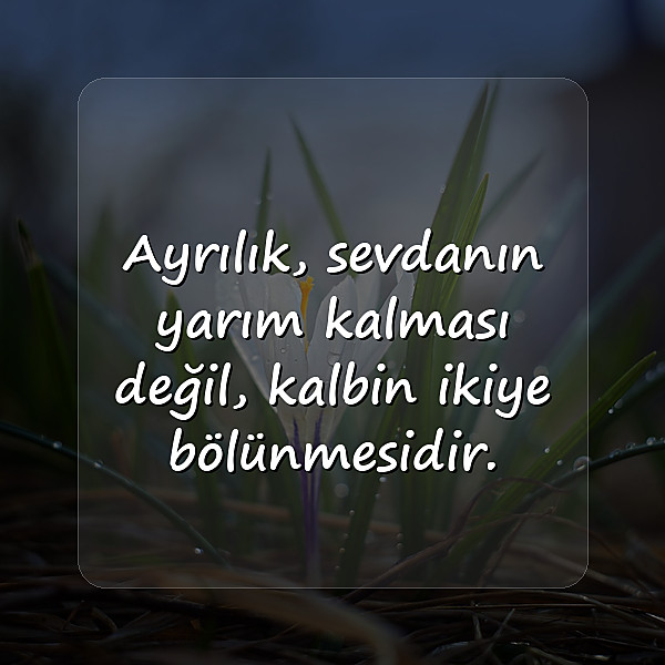 ayrılık ile ilgili sözler - 10