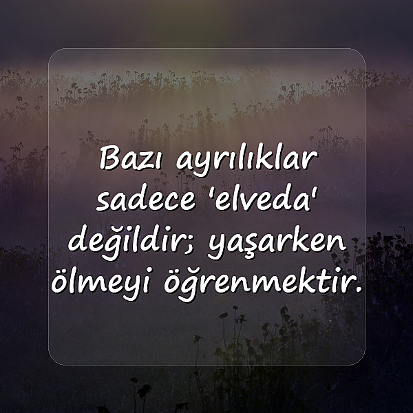 ayrılık ile ilgili sözler - 6
