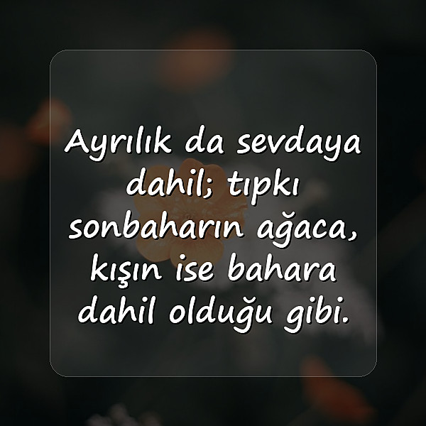 ayrılık sözleri - 11