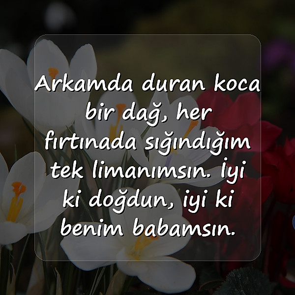 babaya doğum günü sözleri - 10