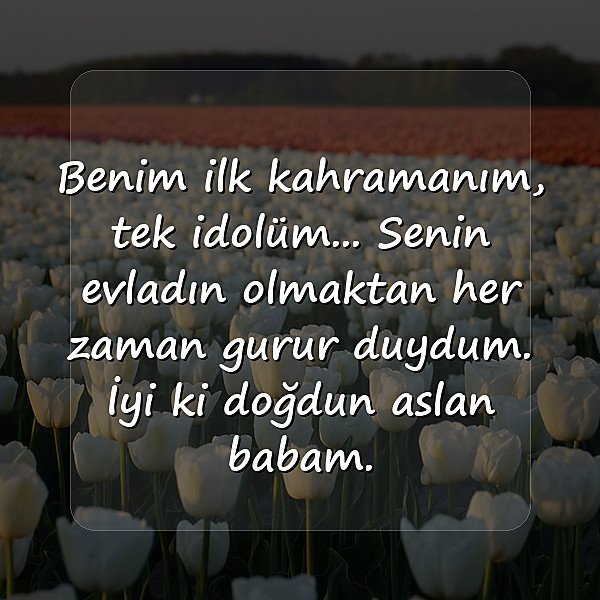 babaya doğum günü sözleri - 6