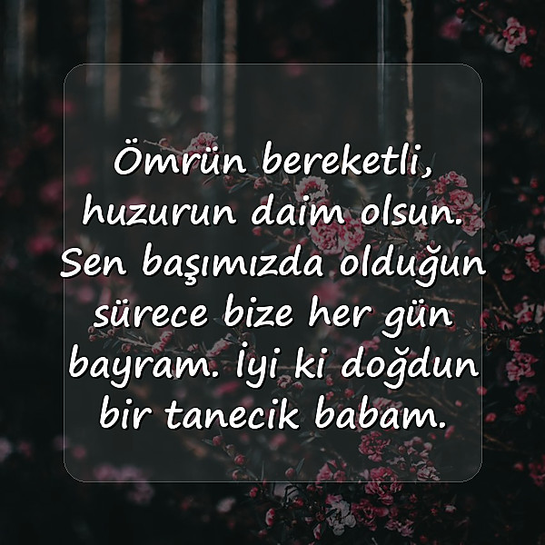 babaya doğum günü sözleri - 1