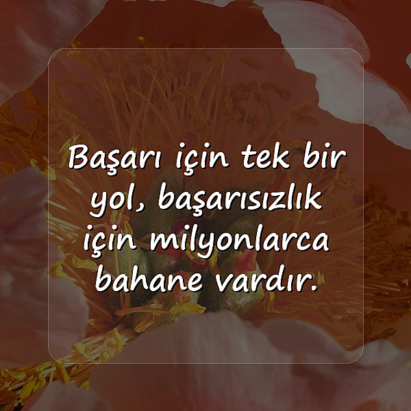 bahane sözleri - 7