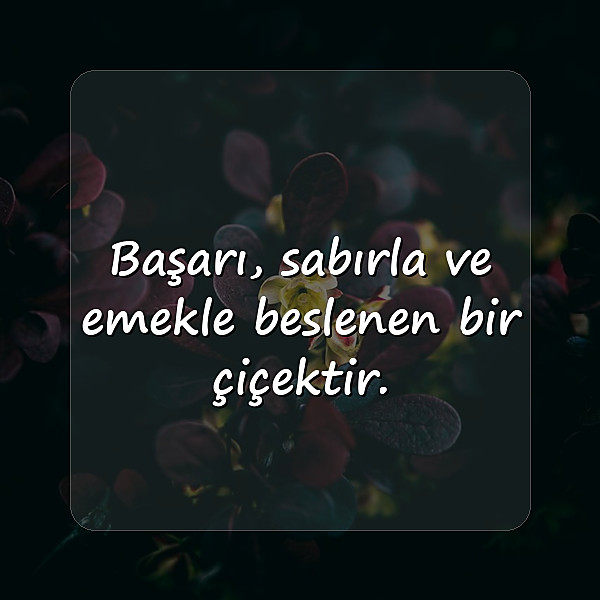 başarı ile ilgili sözler - 1