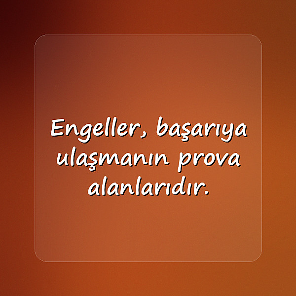 başarı ile ilgili sözler - 14