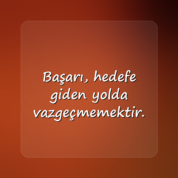 başarı ile ilgili sözler - 10