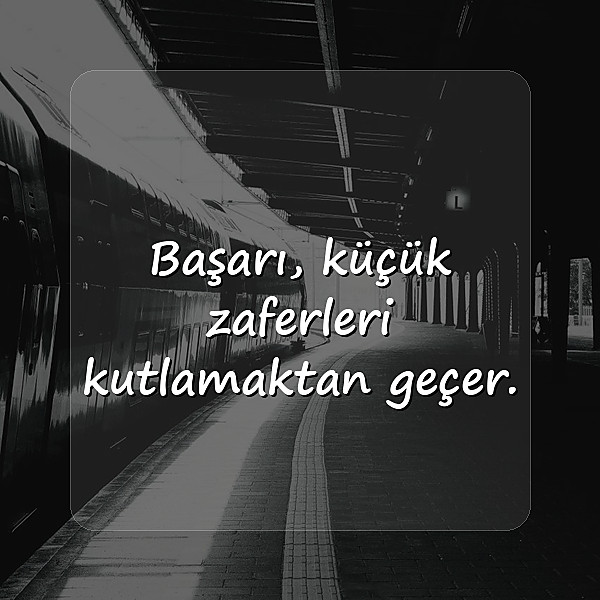 başarı ile ilgili sözler - 6