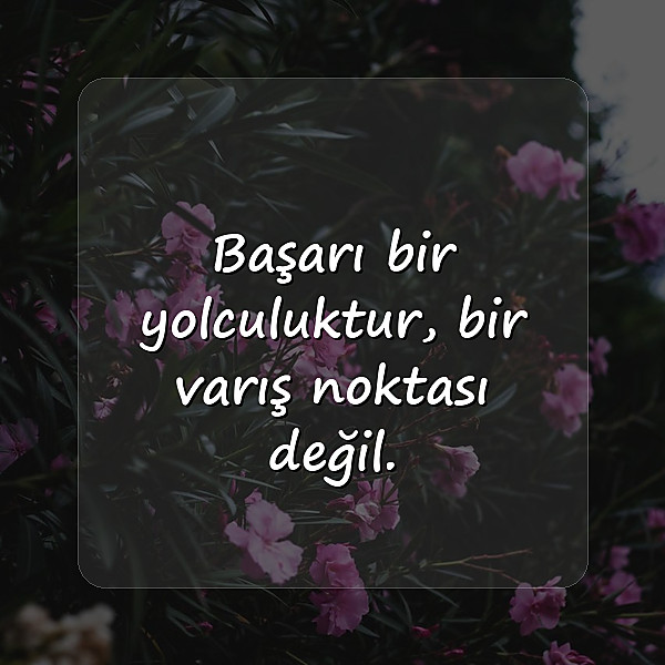 başarı sözleri - 5