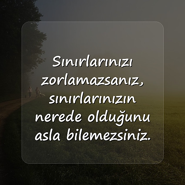 başarı sözleri - 12