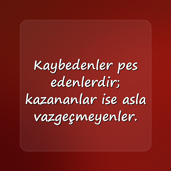 başarı sözleri - 4