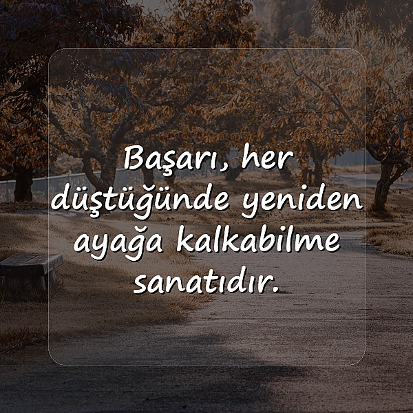 başarı sözleri - 11