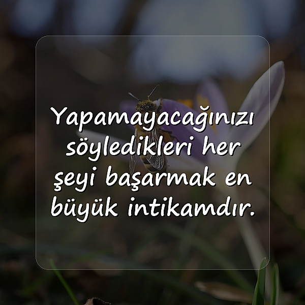 başarı sözleri - 7