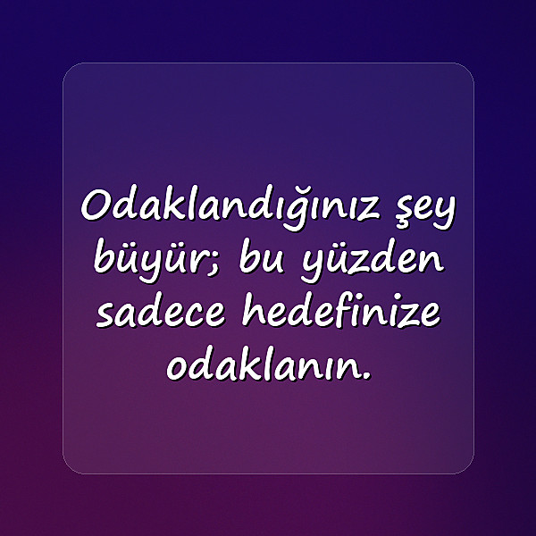 başarı sözleri - 14