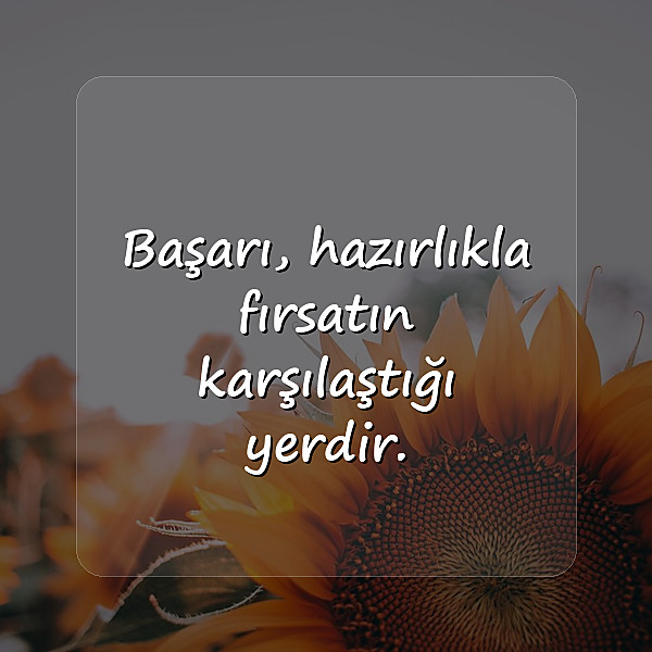 başarmak ile ilgili sözler - 5