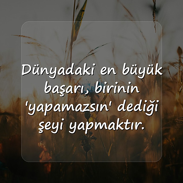 başarmak ile ilgili sözler - 12