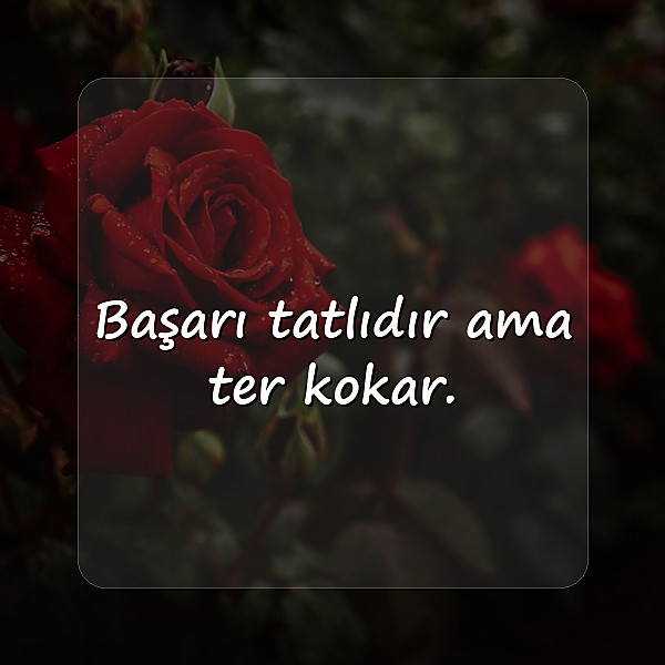 başarmak ile ilgili sözler - 3