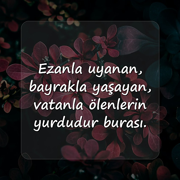 bayrak sözleri - 3