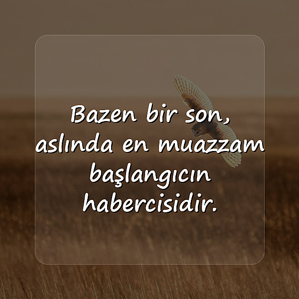 bazen sözleri - 6
